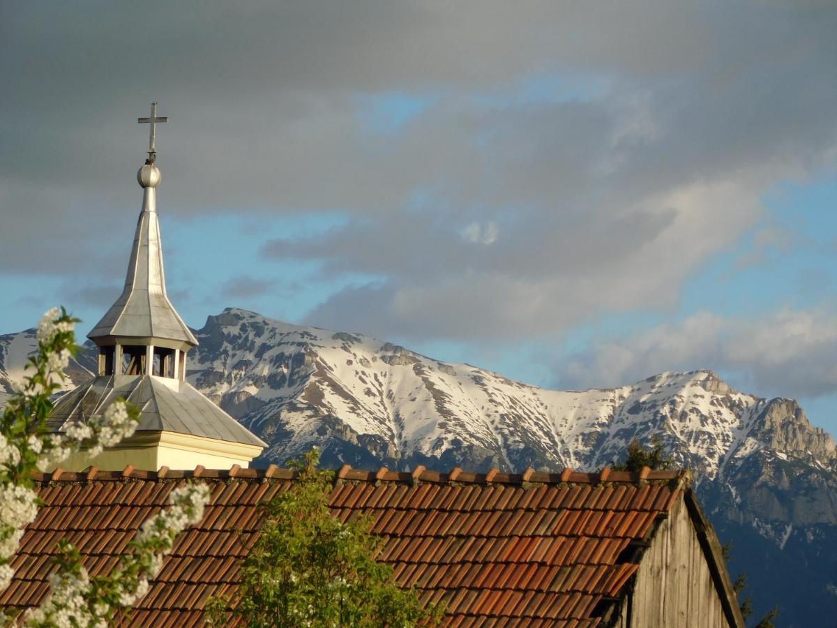 Mountain Vista Suites Зэрнешти Экстерьер фото